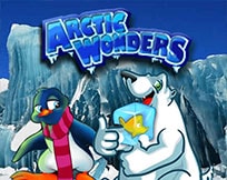 Arctic Wonders